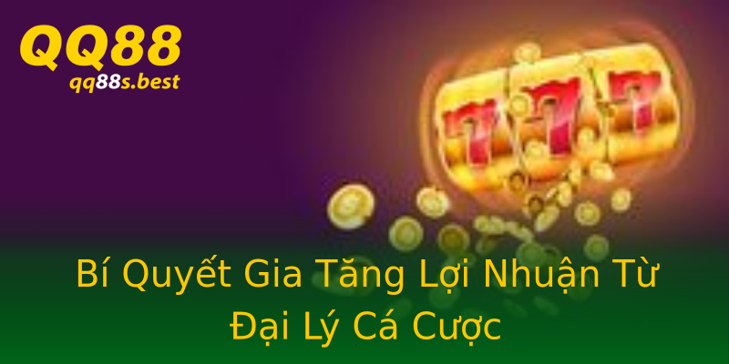Bí Quyết Gia Tăng Lợi Nhuận Từ Đại Lý Cá Cược Bí Quyết Gia Tăng Lợi Nhuận Từ Đại Lý Cá Cược